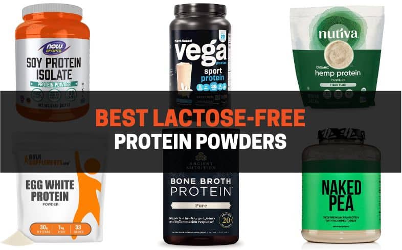 11 Best Protein Powders For Weight Loss Female Top Picks 2023