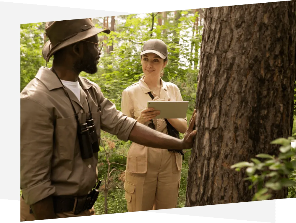 5 Indictators Of Forest Health: A Compact Guide To Key Metrics