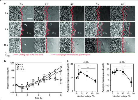 Drive Acoustic Cell Migration With Microfluidic Cues