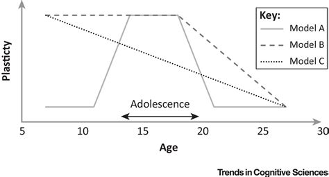 Adolescence As A Sensitive Period Of Brain Development Trends In Cognitive Sciences Adolescence As A Sensitive Period Of Brain Development Trends In Cognitive Sciences