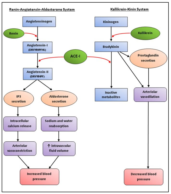 Algal Proteins Extraction Application And Challenges Concerning Production