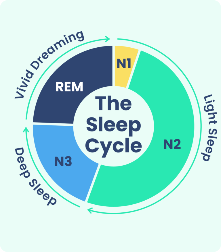 Whispers Of Biochemical Changes During Nrem Sleep Revealed