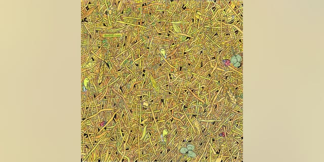 Brain Teaser Can You Find The Sewing Needle In A Haystack Brain Teaser Can You Find The Sewing Needle In A Haystack