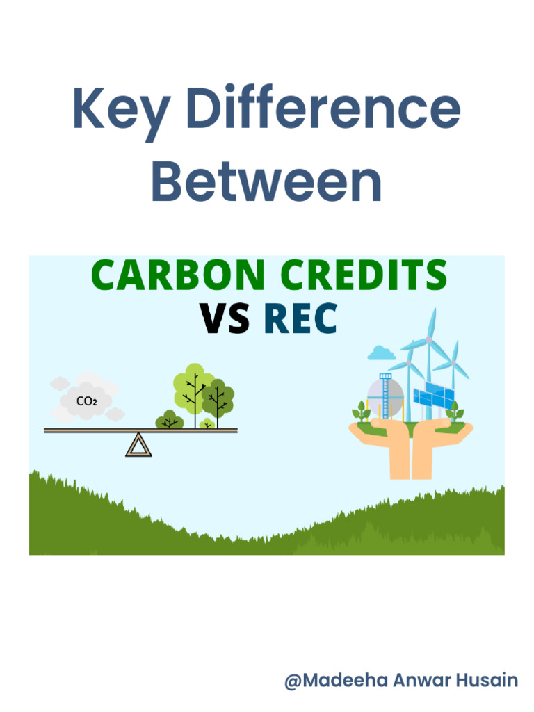 Why Carbon Credit Vs. Rec Price Drives Choice In Carbon Markets