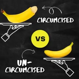 Circumcised Vs Uncircumcised Diagram How To Care For An Unci Circumcised Vs Uncircumcised Diagram How To Care For An Unci