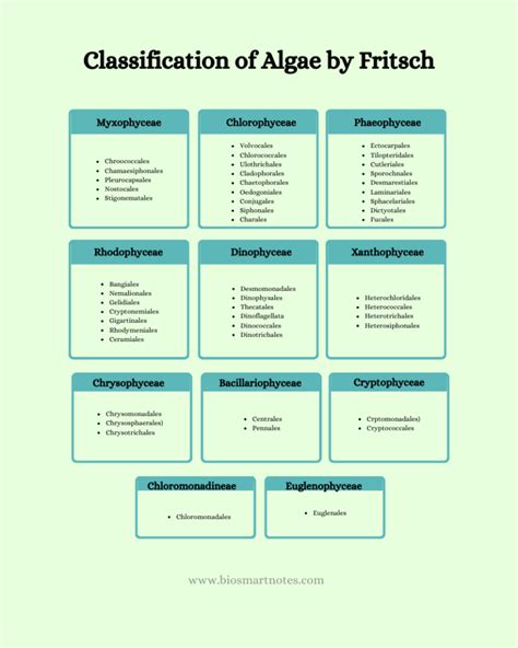 Classification Of Algae By Fritsch Bio Smart Notes