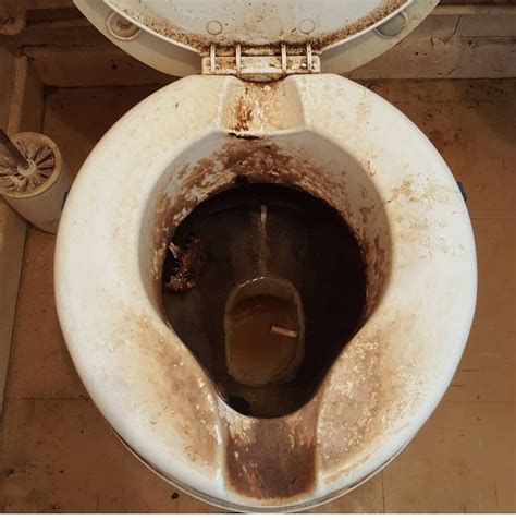 Complaint Dirty Toilet At Arthur Snipes Blog Complaint Dirty Toilet At Arthur Snipes Blog