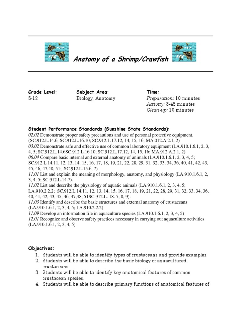Crawfish Biology The Fish Site Crawfish Biology The Fish Site