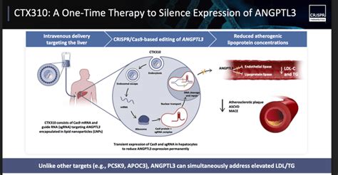 Crispr Therapeutics Shares Are Soaring This Could Be The Start Of Something Big Crsp Seeking Alpha