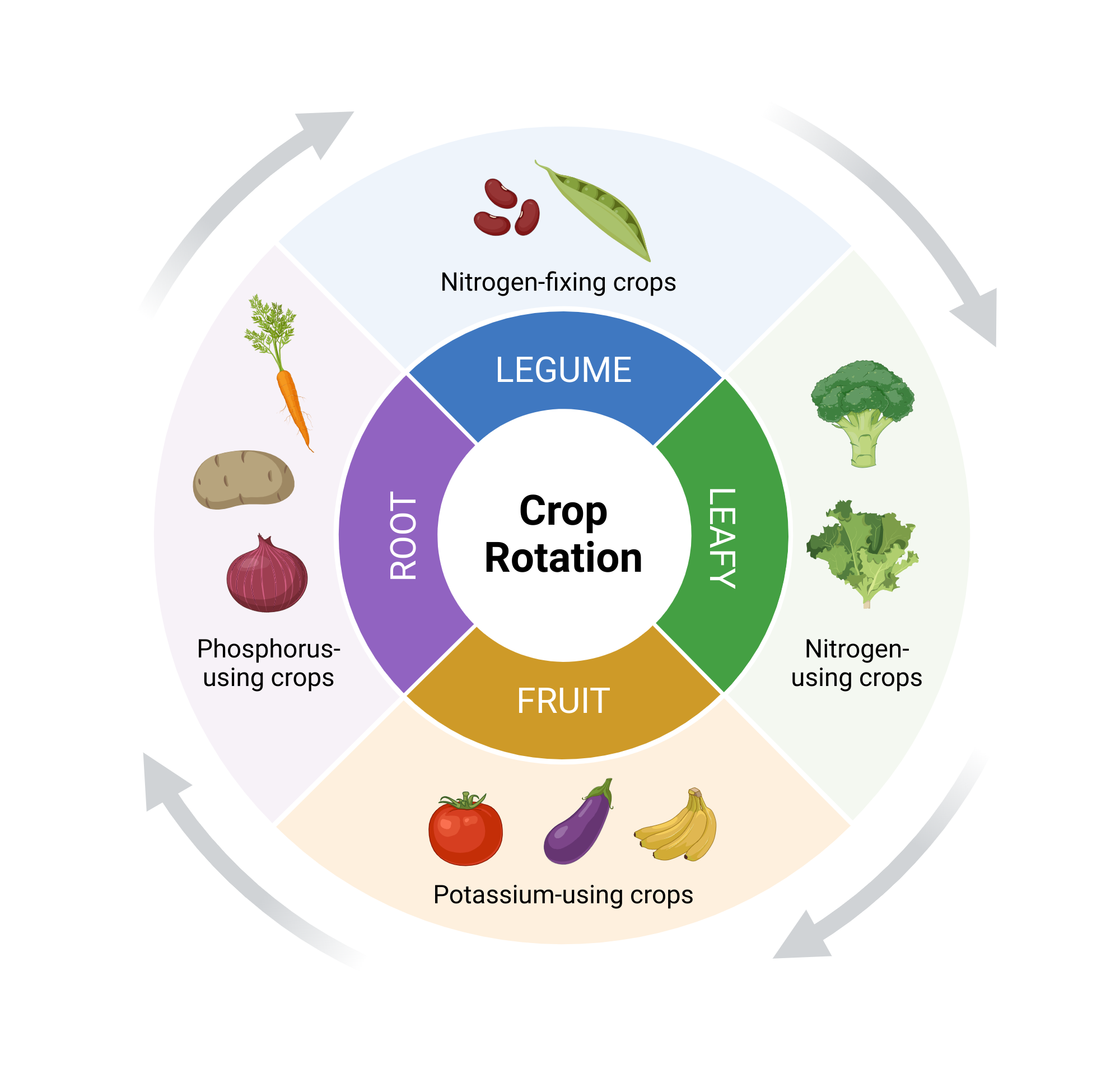 Future Of Crop Rotation 1 Pro: Smart Farming Advances