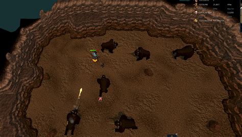 Dark Beast Afk Guide R Runescape