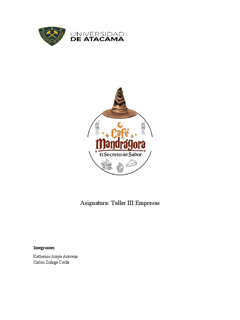 Directora Ejecutiva Katherine Araya Ciren Est Cumpliendo Con Su Meta De Democratizar La