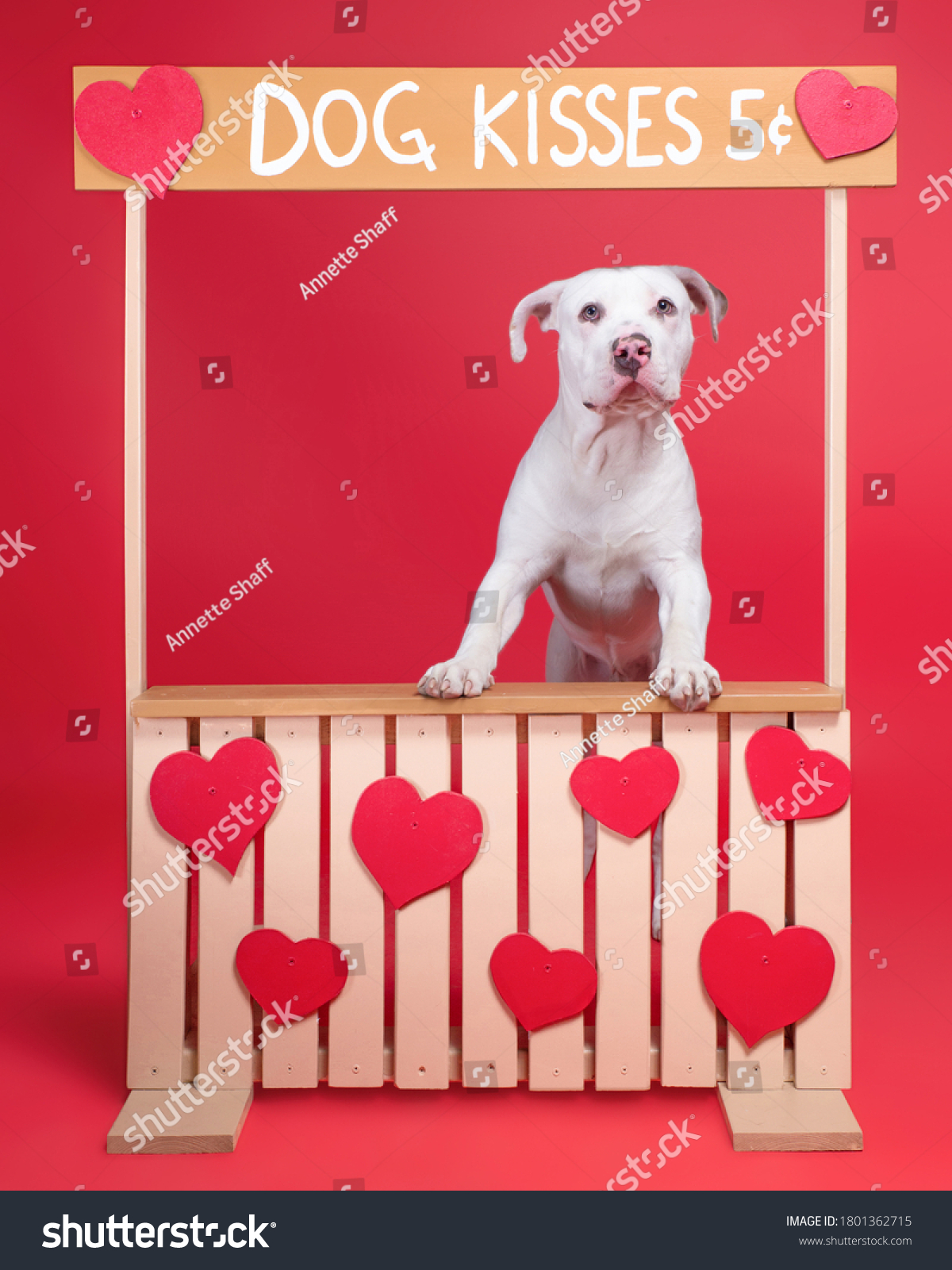 The Canine Kissing Experience: A Delightful Delight