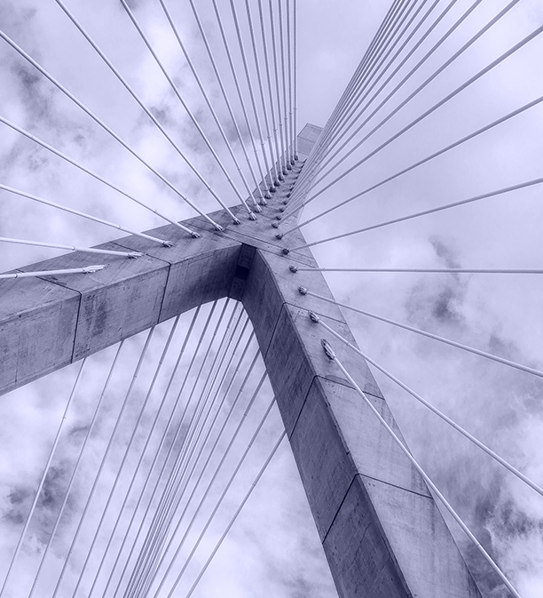 Emily Brabbit Vice President Biotech Investor Relations At Argot Partners Linkedin Emily Brabbit Vice President Biotech Investor Relations At Argot Partners Linkedin