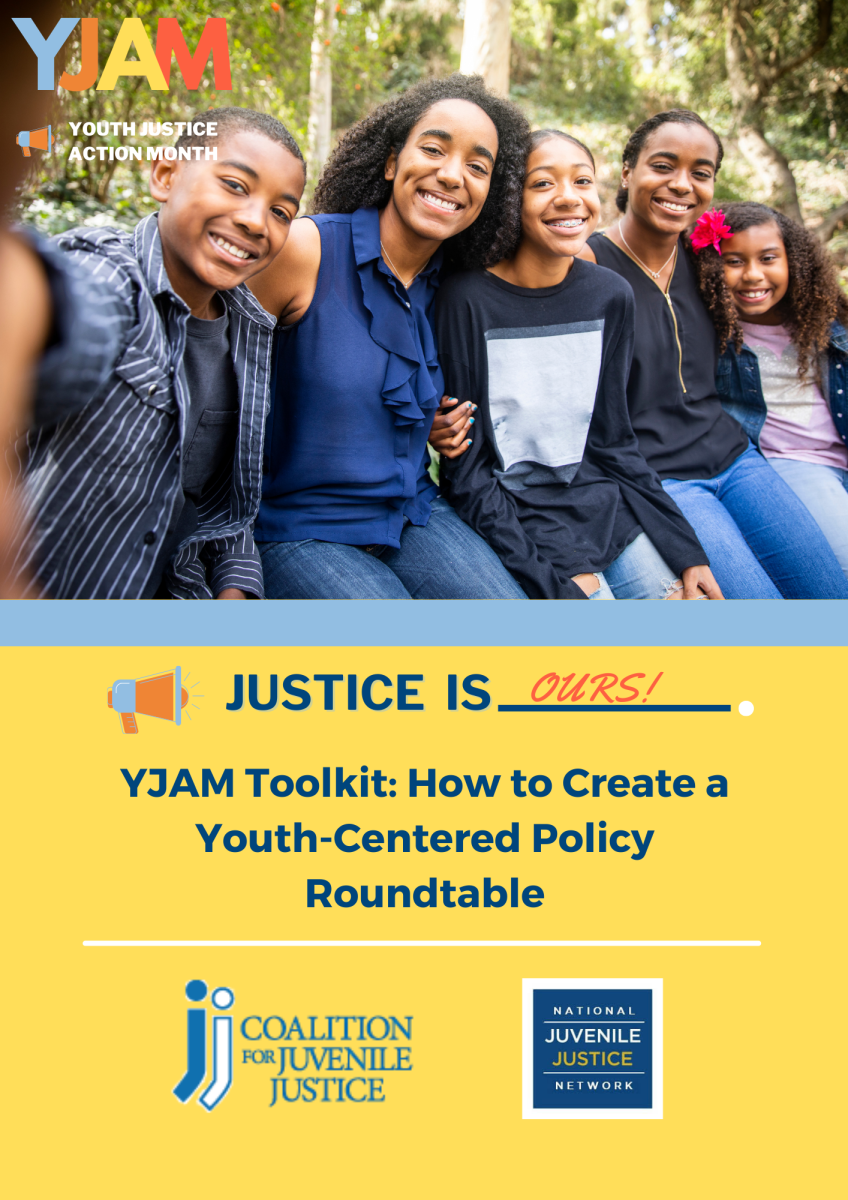 Fact Sheets Toolkits National Youth Justice Network Nyjn Fact Sheets Toolkits National Youth Justice Network Nyjn