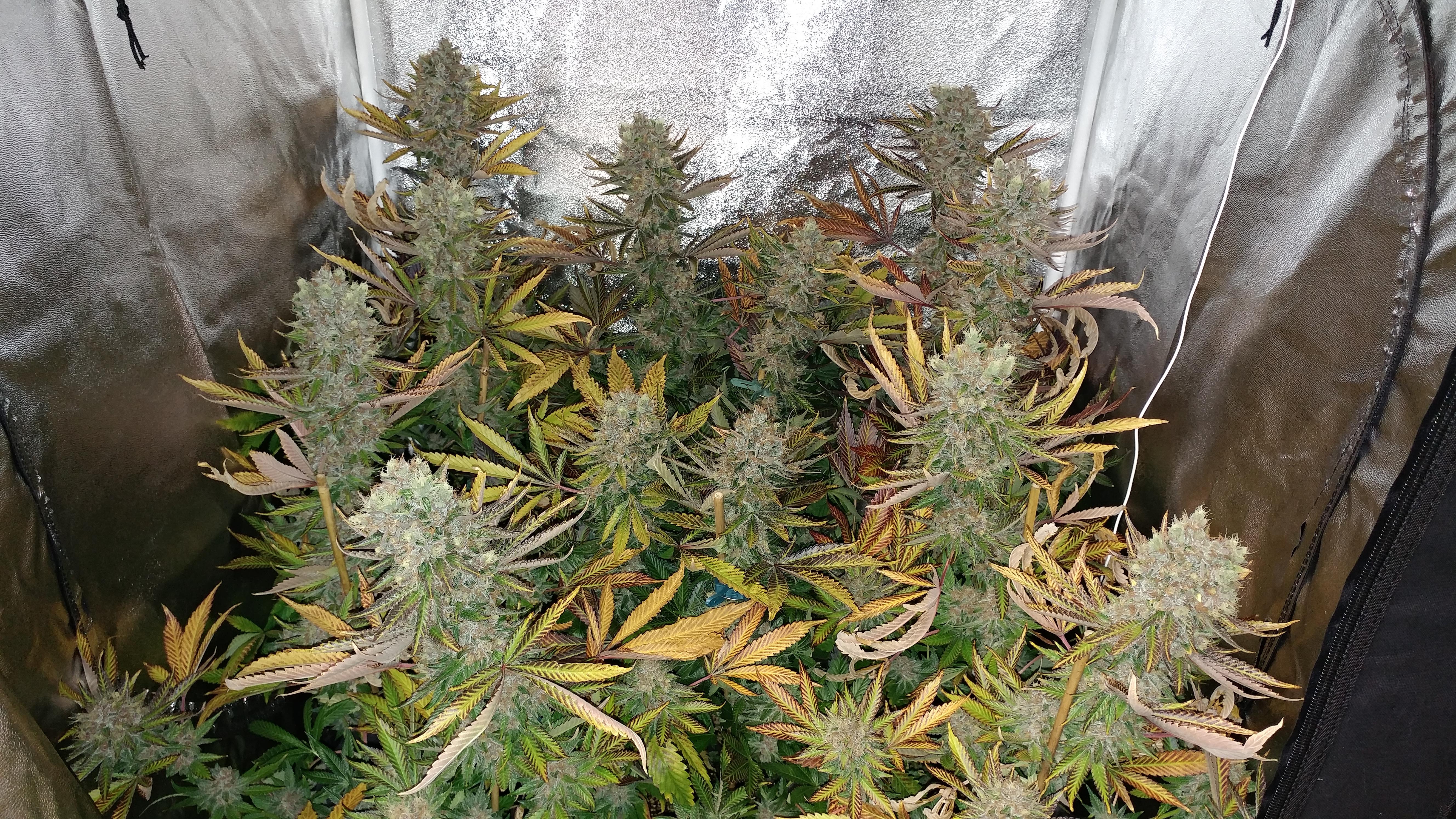 The GGW Guide: 5 Hot Tips