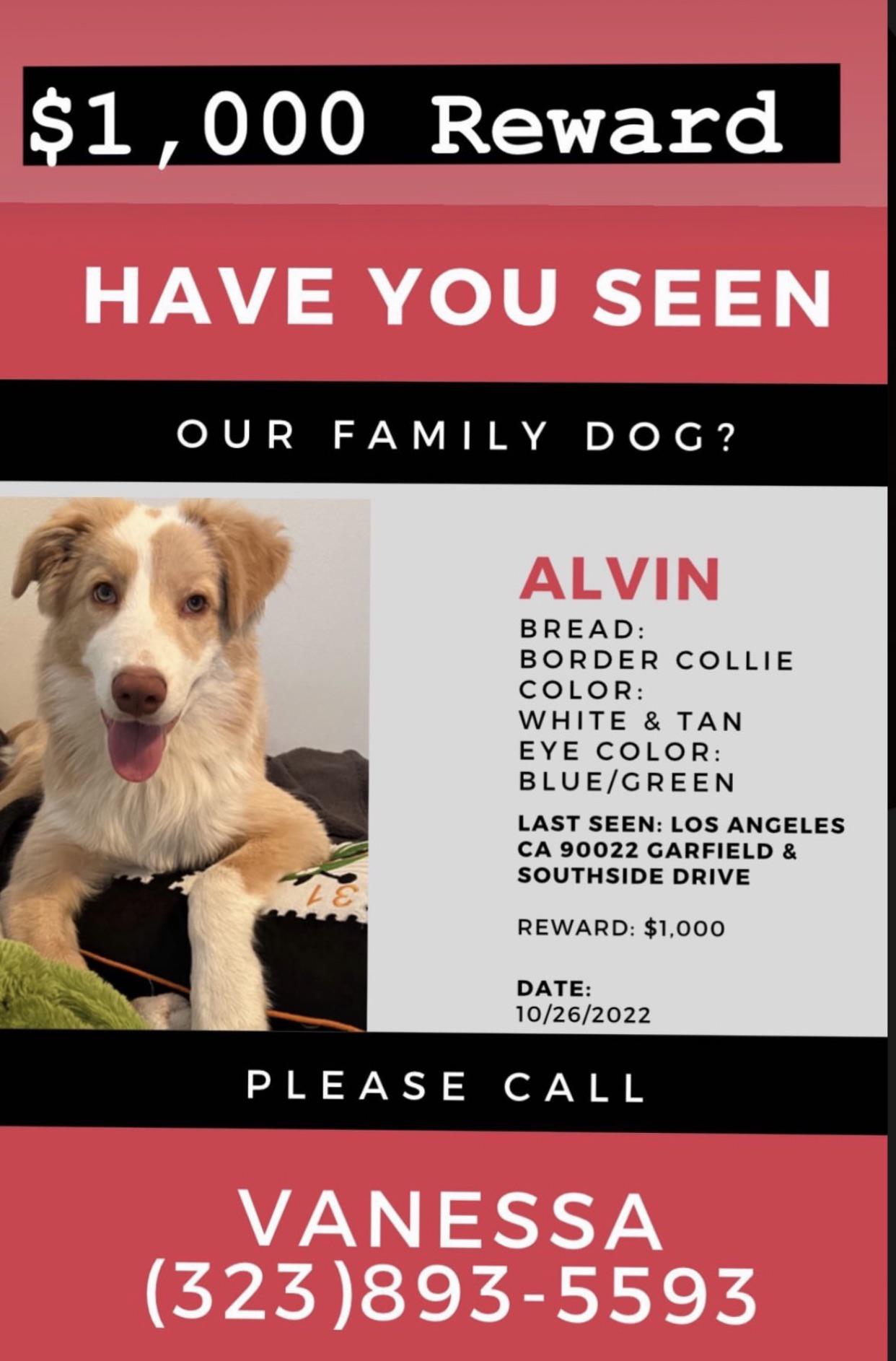 Help Us Find And Connect Profiles For Next Week Amp 39 S Twitterverse Feature Wikitree G2g Help Us Find And Connect Profiles For Next Week Amp 39 S Twitterverse Feature Wikitree G2g