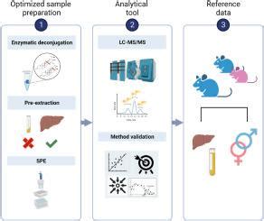 High Throughput Lc Ms Ms Method For Steroid Hormone Analysis In Rat Liver And Plasma Unraveling Methodological Challenges Sciencedirect