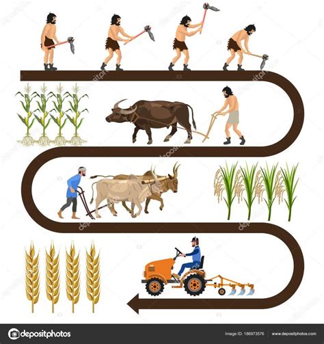 History Of Agriculture Wikiwand