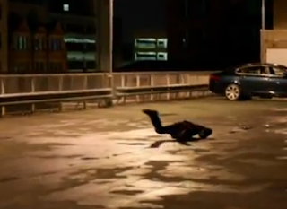 Hit And Miss Chloe Sevigny Celebrity Nude Scene Beautiful Sexy