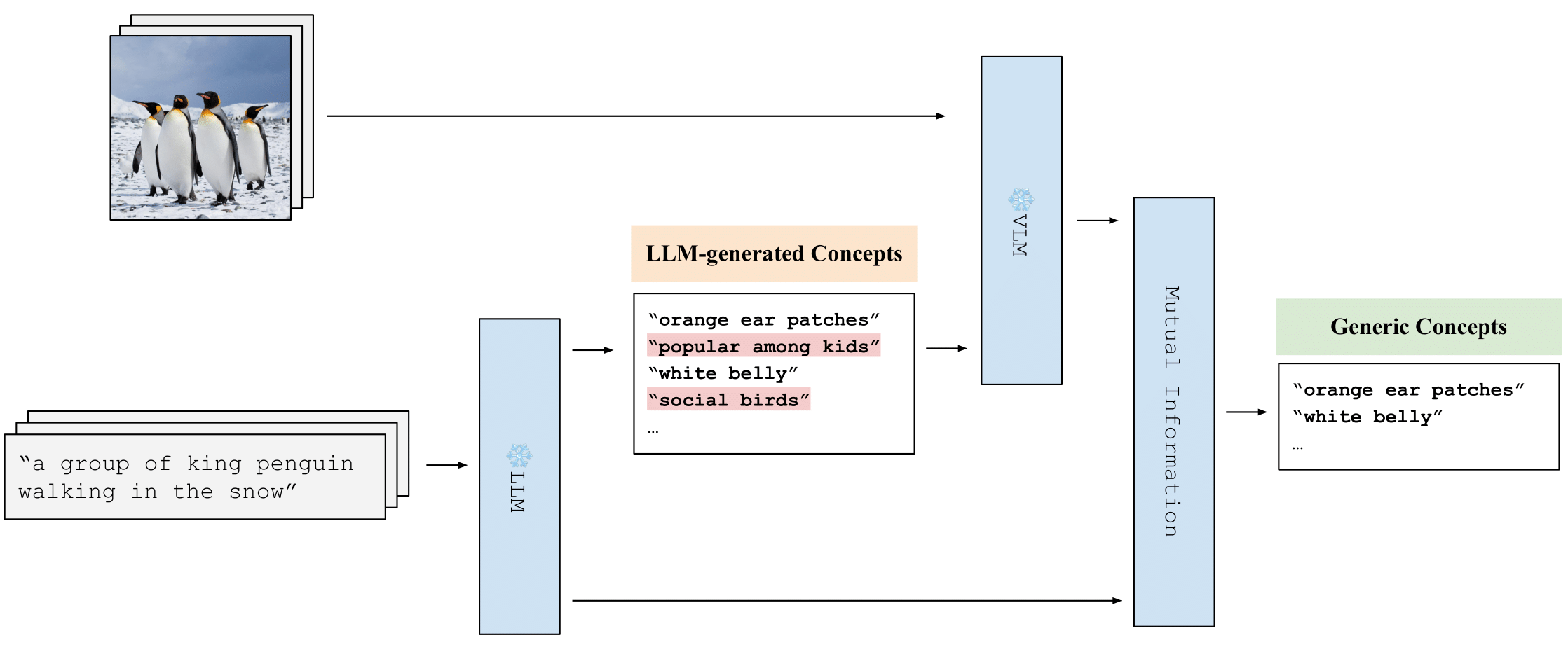 Multimodal Concept Discovery: Unlock Cross-Modal Insights