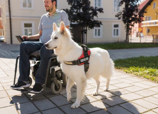 National Guide Service Dog Month National Guide Service Dog Month