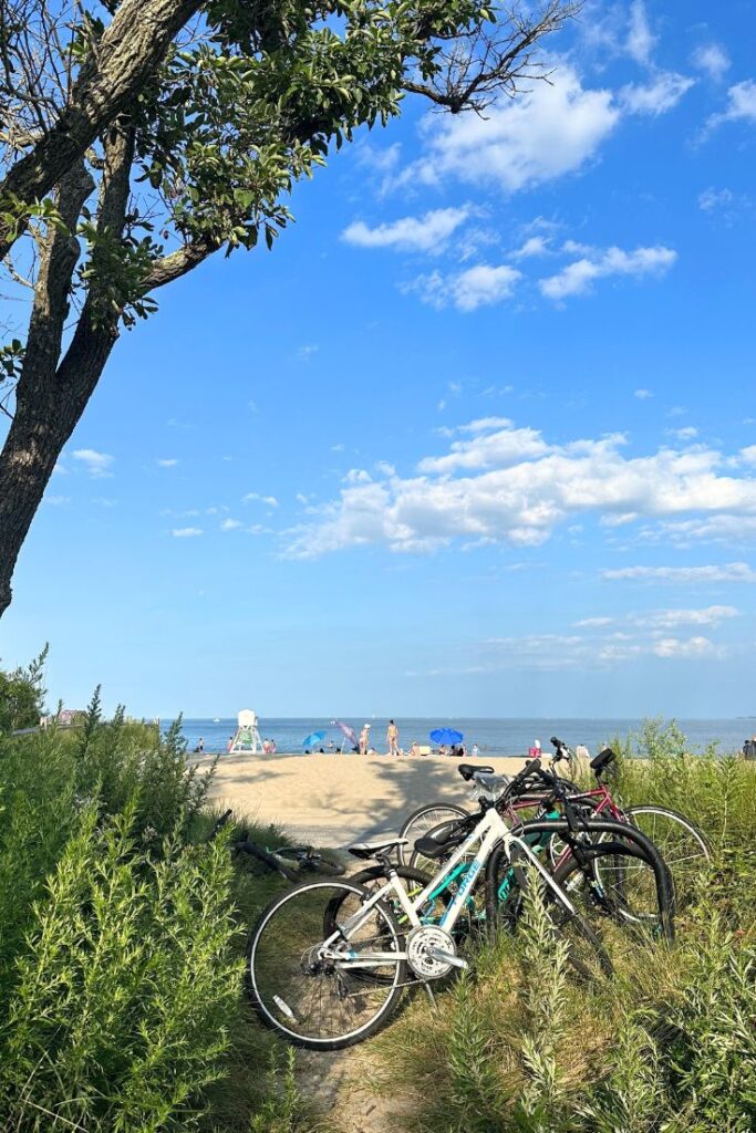 The Naked Truth: NYC's Nude Beaches