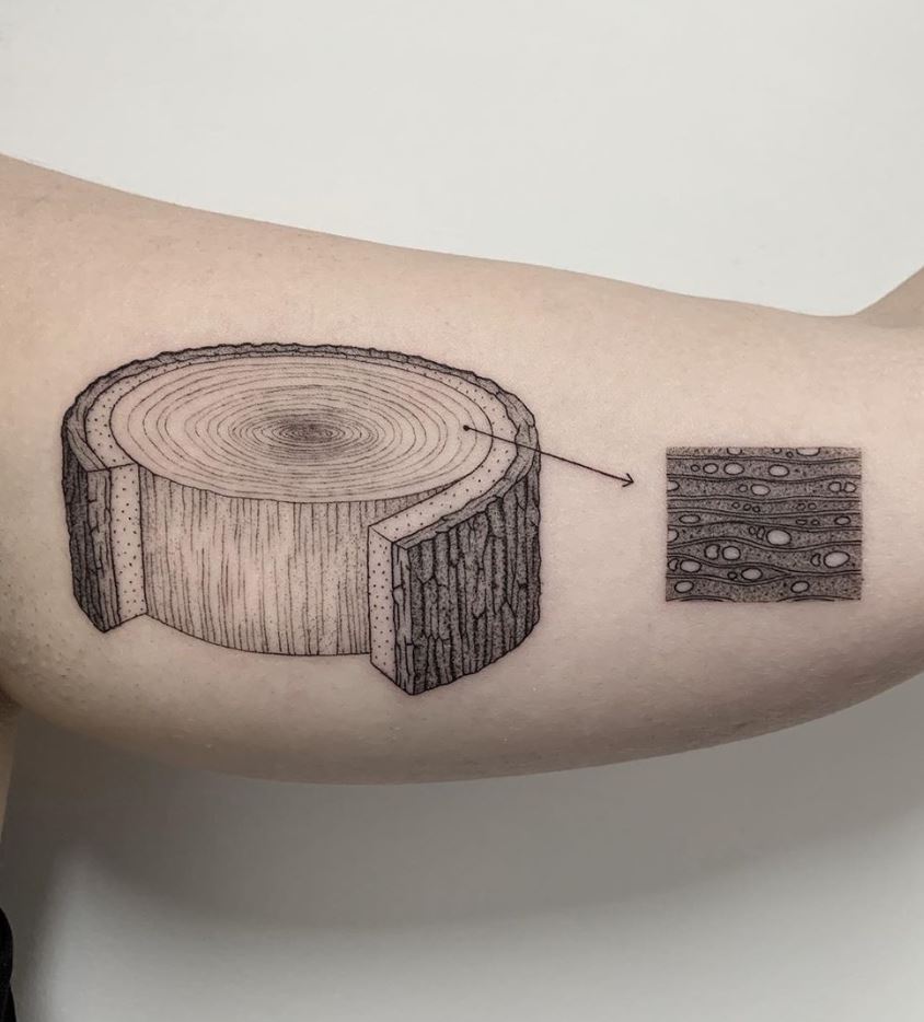 From Roots To Ink: A Story Of An Oak Tree Tattoo