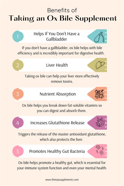 Ox Bile Benefits: Seven Proven Digestive Support Tips