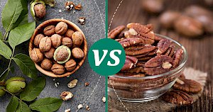 Pecan Nuts Vs Walnuts: Pecan Nuts Vs Walnuts, Nutrition And Flavor