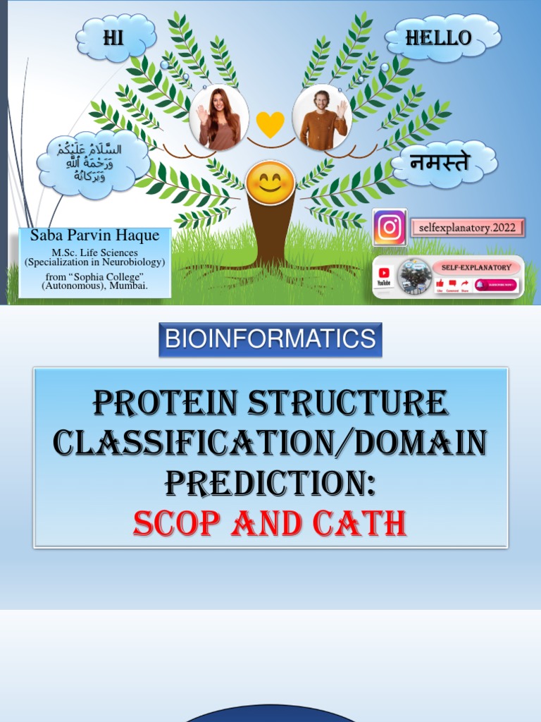 Protein Comparison At The Domain Architecture Level Bmc Bioinformatics Full Text Protein Comparison At The Domain Architecture Level Bmc Bioinformatics Full Text