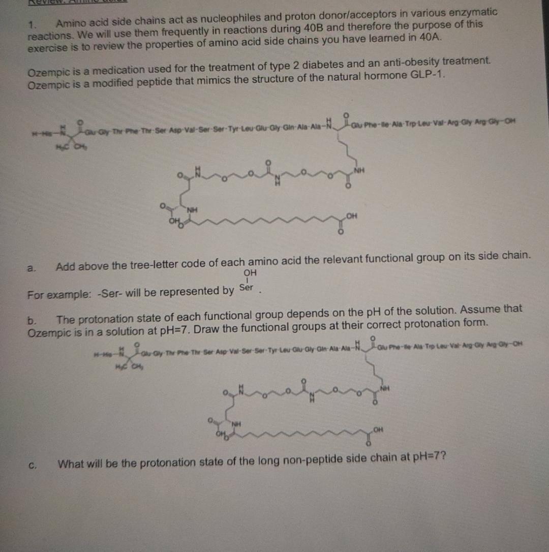 7 Key Roles Of Proton Acceptors Amino In Biochemistry