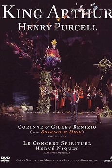 A Curious Tester's Journey: Purcel Labs Review And Verdict