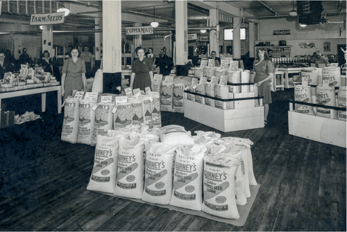 Raised Garden Bed Corners: Create Sturdy, Stylish Beds