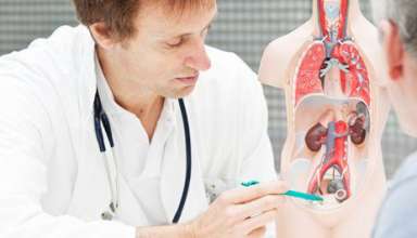 Reproductive Healths 3350104 Reproductive Healths 3350104