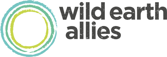 Rewilding The Great Cypress Swamp Wild Earth Allies