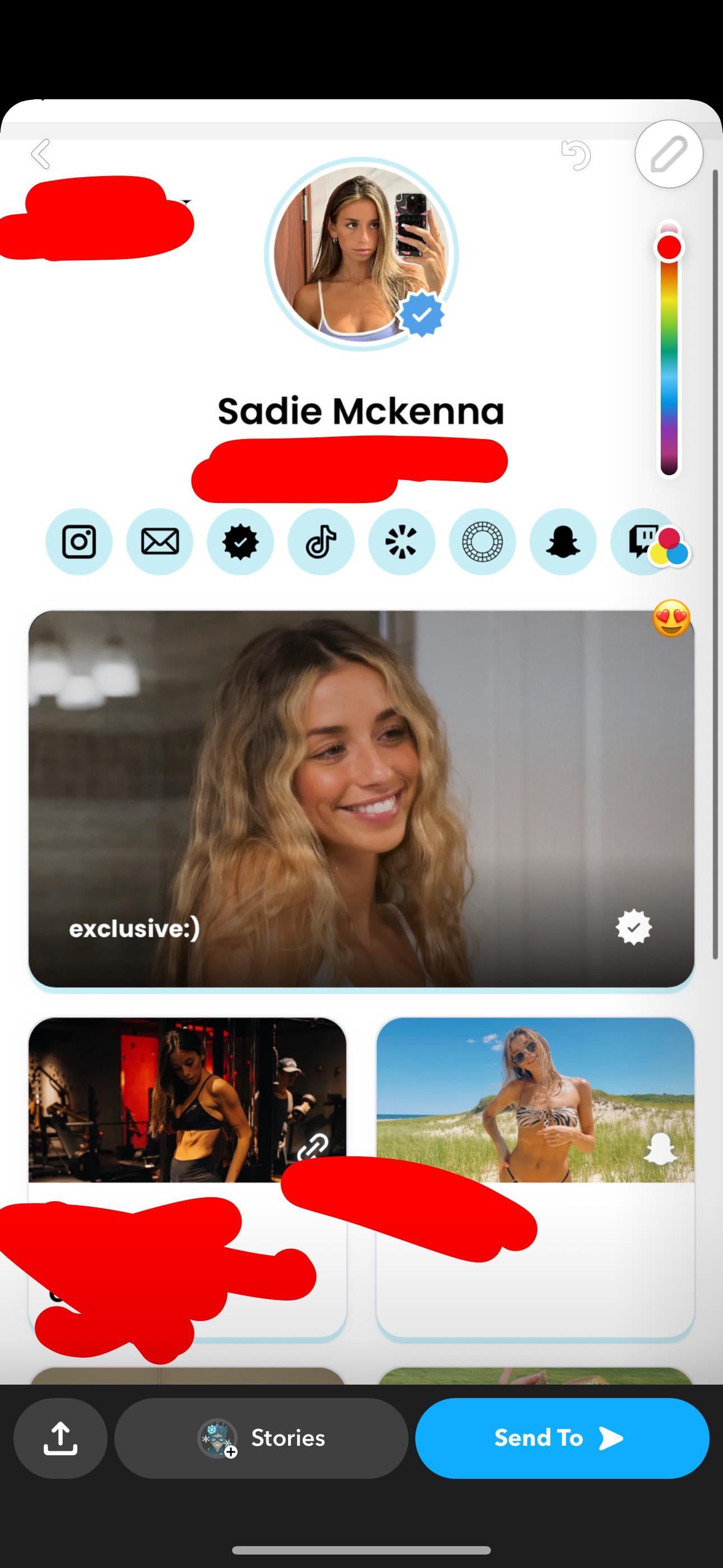 Sadie's Secret: 5 Leaked Fanfic Facts