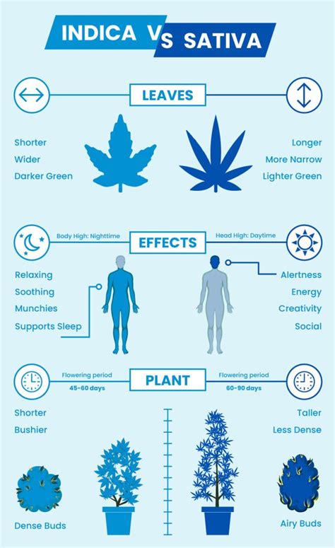 Sativa Vs Indica Chart