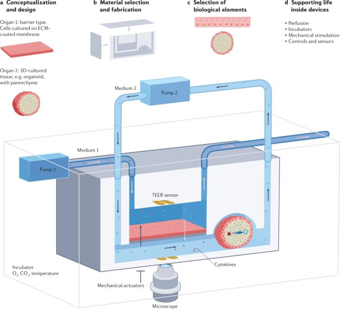 Serial Femtosecond Crystallography Nature Reviews Methods Primers Serial Femtosecond Crystallography Nature Reviews Methods Primers