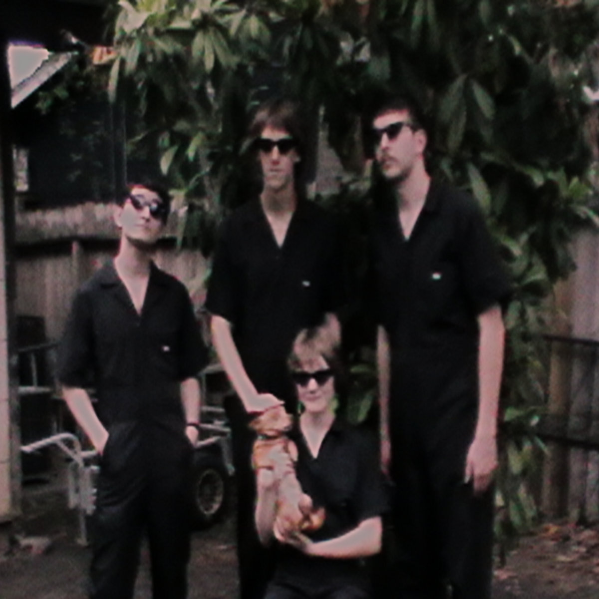 Unveiling the Secrets of Sex Mex Anales