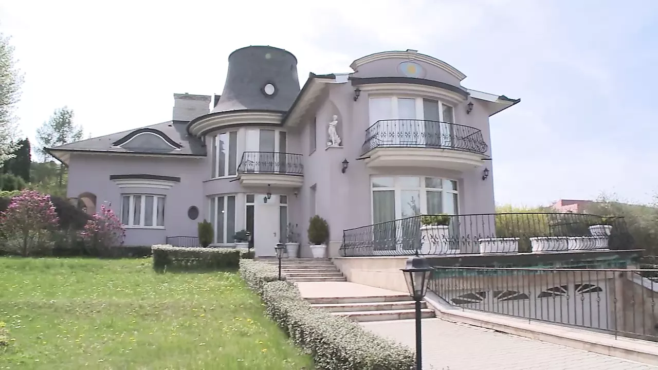 The Ultimate Guide to Sex and XN