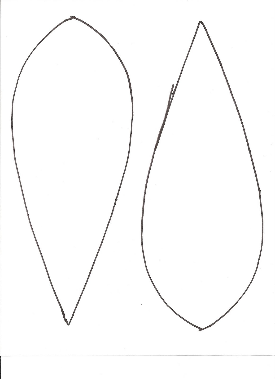 From Sketch To Feather: Simple Turkey Feather Color Drawing Guide