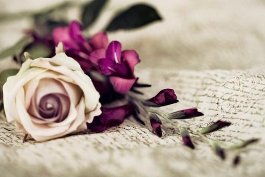 The Cutting Edge English Meaning Cambridge Dictionary