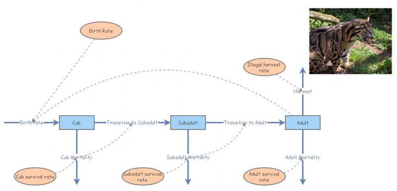 The Mystery Of Number 7 Insight State
