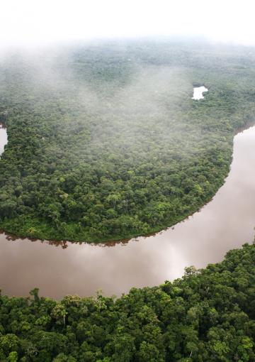 The Yangtze Asia S Longest River Wwf The Yangtze Asia S Longest River Wwf