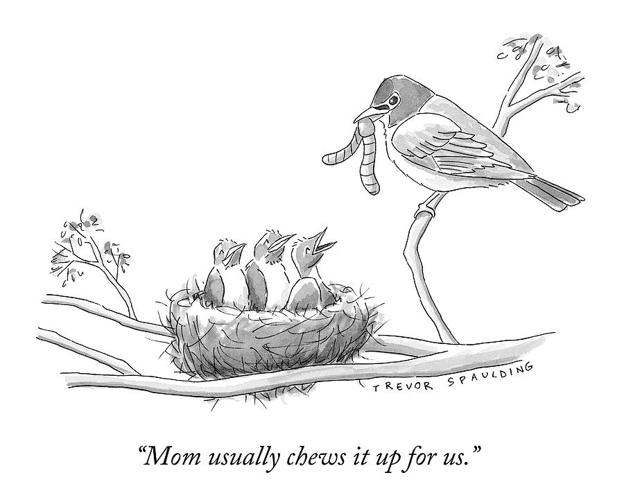 Three Baby Birds In A Nest Talk To A Grown Bird Art Print By Trevor Spaulding Conde Nast Three Baby Birds In A Nest Talk To A Grown Bird Art Print By Trevor Spaulding Conde Nast