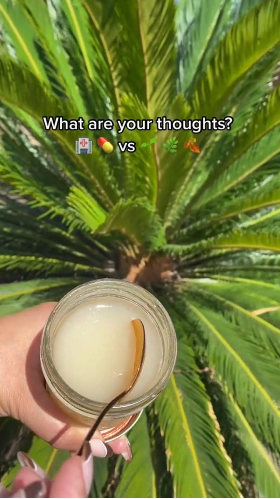 Traditional Healthcare Vs Natural Remedies Artofit