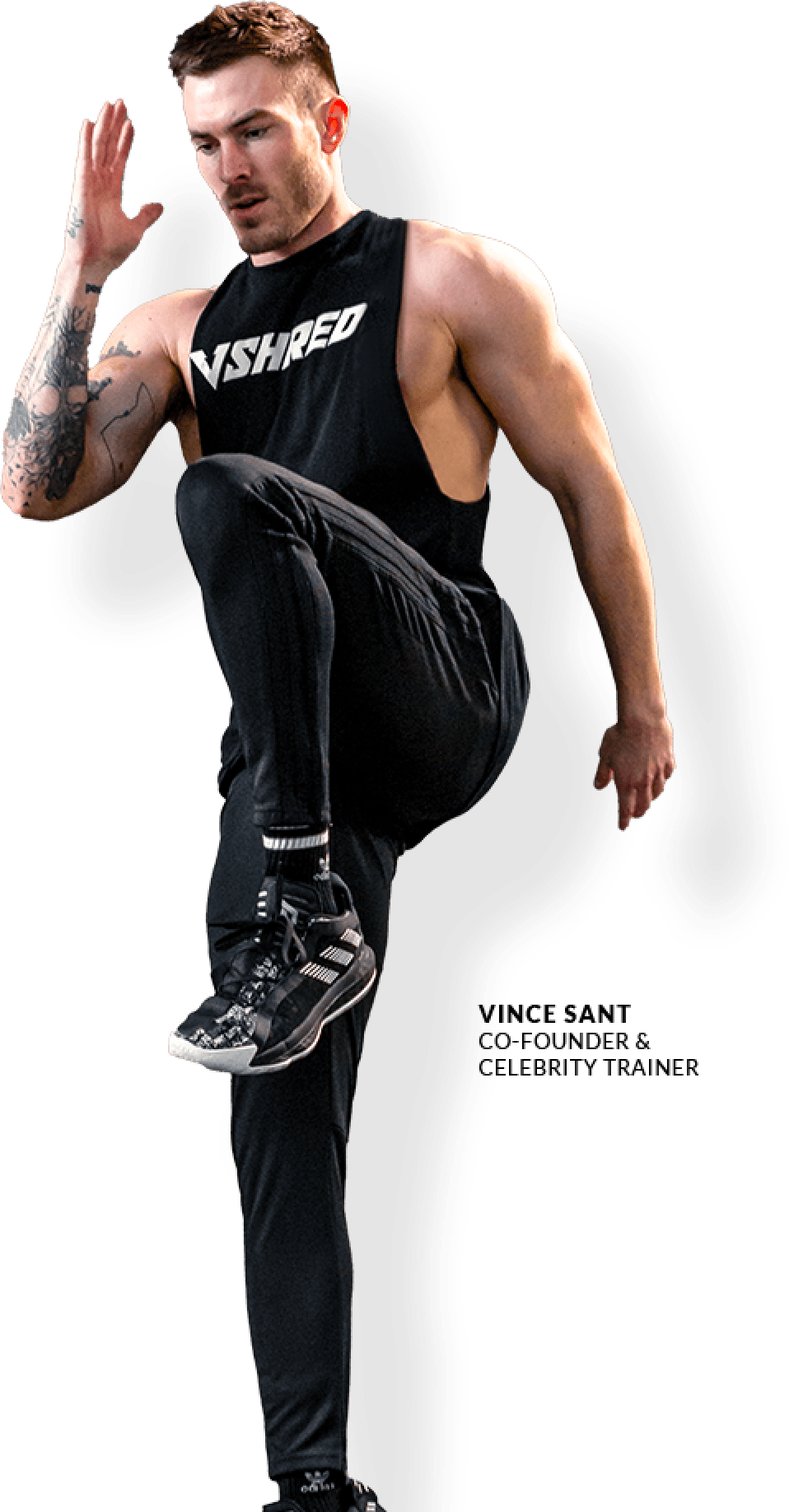 V Shred Guy Will Vin Sant Leave You Jacked Or Scammed