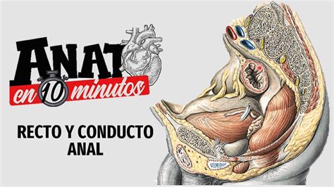 The 7 Best Anal Sex Tips