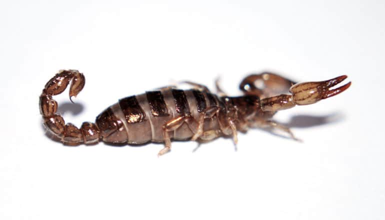 How-To Use Watches Of Staph And Tb To Monitor Infection Risk